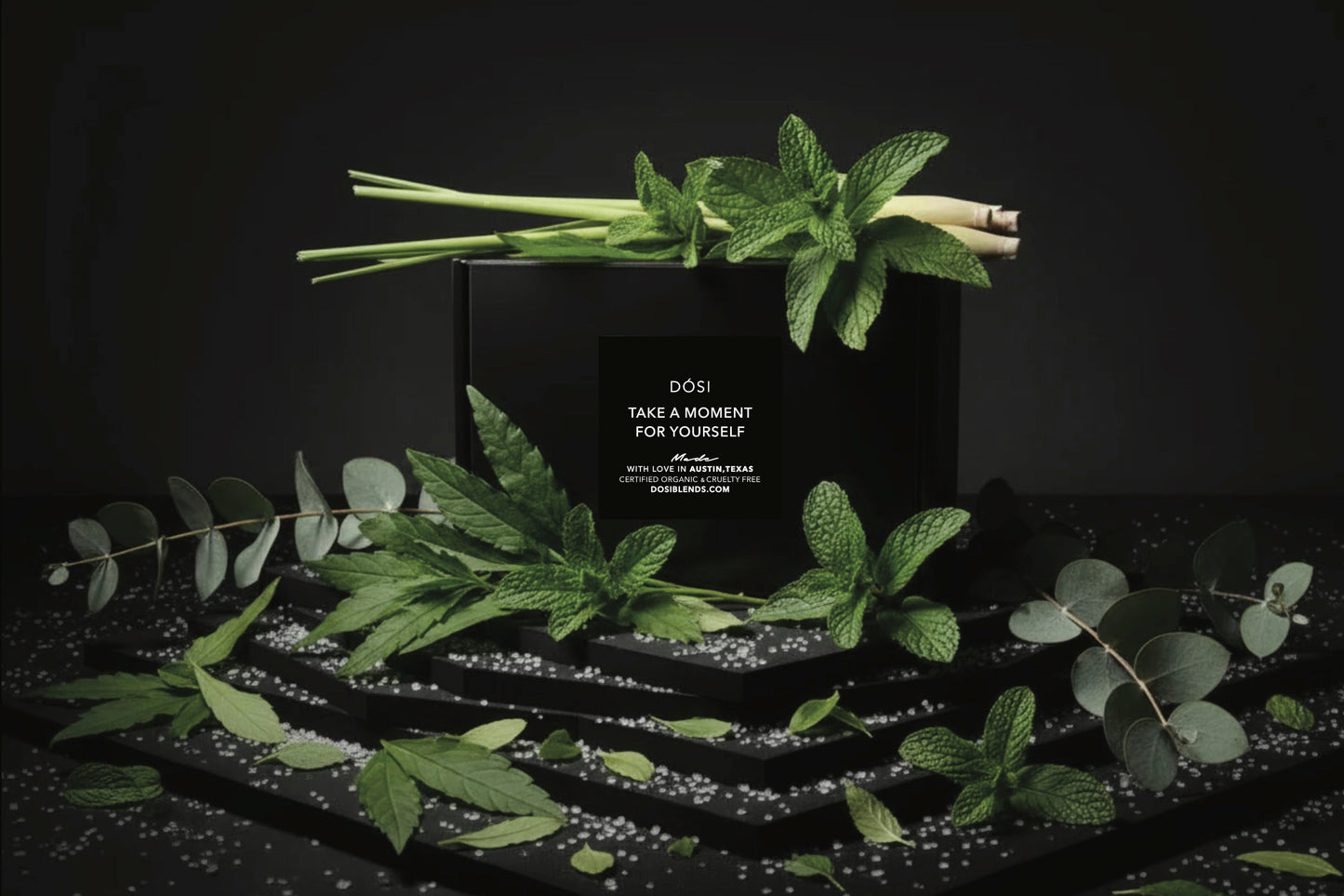 I AM PRESENT collection box